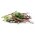 Resveratrol Resveratrol