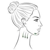 Usage of  gua sha tool on chin & neck