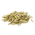 Fennel Fruit Extract