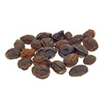 Saw Palmetto Saw Palmetto