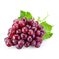 Grape Seed Grape Seed