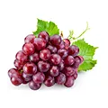Grape Seed Grape Seed