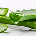 image of vitamin E image of vitamin E