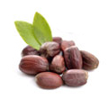 Jojoba Seed Oil Jojoba Seed Oil