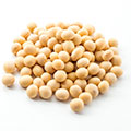 Soy isoflavones Soy isoflavones