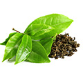 Green Tea Extract Green Tea Extract