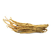 imagen de Panax Ginseng