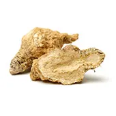 image of Maca