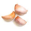 Garlic Extract Garlic Extract