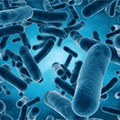 Probiotics Probiotics