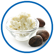 Shea Butter Shea Butter