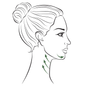How to use Jade Roller on chin & neck How to use Jade Roller on chin & neck
