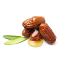 Jojoba Seed Oil Jojoba Seed Oil