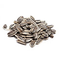 image of Sunflower Seed Oil image of Sunflower Seed Oil