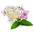 Sage Extract Sage Extract