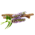 Liquorice Root Extract Liquorice Root Extract