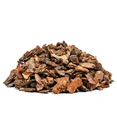 Maritime Pine Bark Extract Maritime Pine Bark Extract