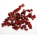 Carrageenan Carrageenan