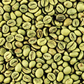 Green Bean Extract