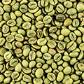 Green Bean Extract Green Bean Extract