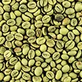 Green Bean Extract Green Bean Extract