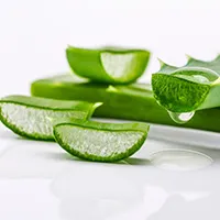 Aloe Vera Aloe Vera