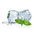 image of mint image of mint