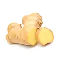 Ginger Root