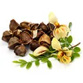 Moringa Seed Oil Moringa Seed Oil