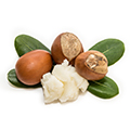 image of shea butter image of shea butter