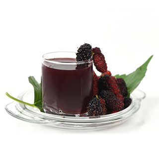 Mulberry Extract Mulberry Extract