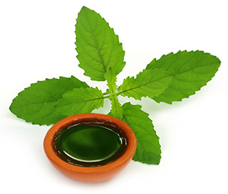 image of organiclarine leaves and oil image of organiclarine leaves and oil