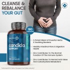 Maxmedix probiotics for candida features