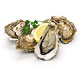 Raw Oysters