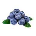 Blueberries