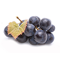 Resveratrol Resveratrol